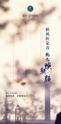 【乾元·金海國際】工程進度播報丨金秋十月 見證品質(zhì)“家”
